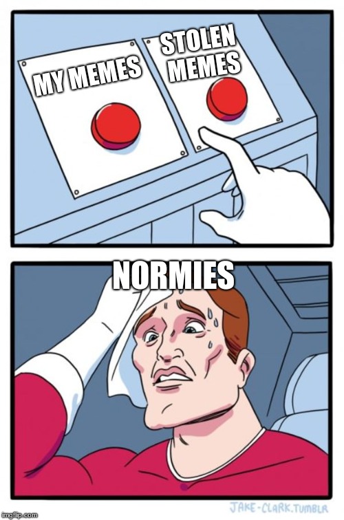 Two Buttons | STOLEN MEMES; MY MEMES; NORMIES | image tagged in memes,two buttons | made w/ Imgflip meme maker