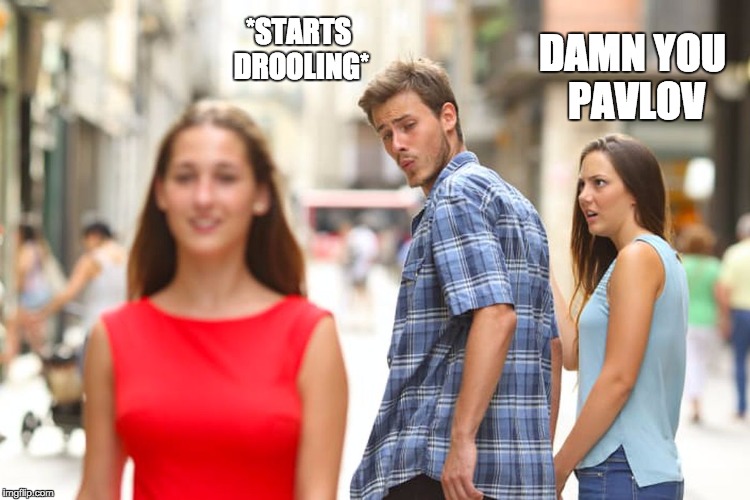 Distracted Boyfriend | *STARTS DROOLING*; DAMN YOU PAVLOV | image tagged in memes,distracted boyfriend | made w/ Imgflip meme maker