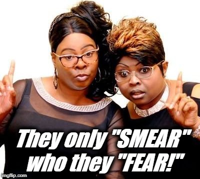 Diamond and Silk | They only "SMEAR" who they "FEAR!" | image tagged in diamond and silk | made w/ Imgflip meme maker