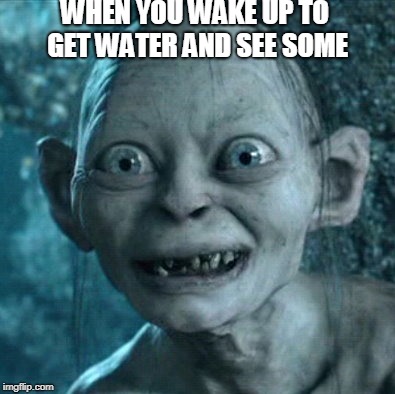 Gollum Meme | WHEN YOU WAKE UP TO GET WATER AND SEE SOME | image tagged in memes,gollum | made w/ Imgflip meme maker