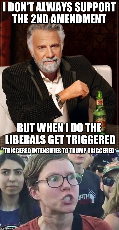 The most interesting man supports the 2nd amendment | *TRIGGERED INTENSIFIES TO TRUMP TRIGGERED* | image tagged in angry woman,liberals,2nd amendment,the most interesting man in the world,triggered,trump triggered | made w/ Imgflip meme maker