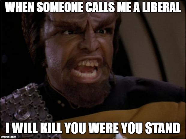 Being called a Liberal | WHEN SOMEONE CALLS ME A LIBERAL; I WILL KILL YOU WERE YOU STAND | image tagged in worf yelling,liberal,insult | made w/ Imgflip meme maker