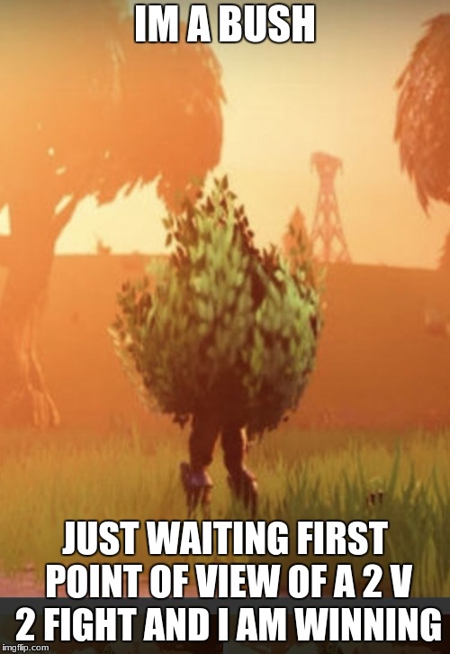 Fortnite bush | IM A BUSH; JUST WAITING FIRST POINT OF VIEW OF A 2 V 2 FIGHT AND I AM WINNING | image tagged in fortnite bush | made w/ Imgflip meme maker