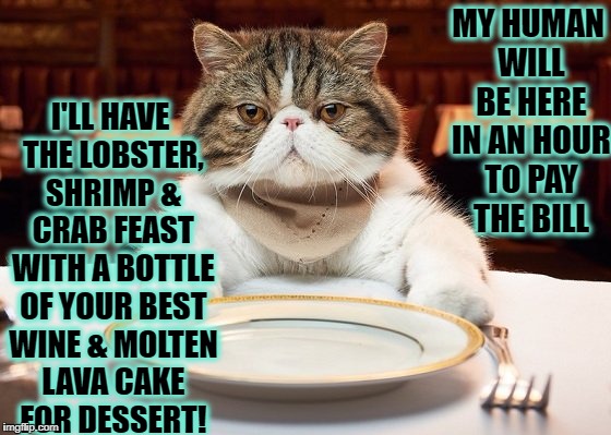 I'LL HAVE THE LOBSTER, SHRIMP & CRAB FEAST WITH A BOTTLE OF YOUR BEST WINE & MOLTEN LAVA CAKE FOR DESSERT! MY HUMAN WILL BE HERE IN AN HOUR TO PAY THE BILL | image tagged in lying turd | made w/ Imgflip meme maker
