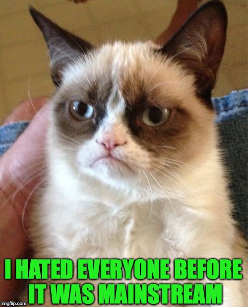 Grumpy Cat Meme | I HATED EVERYONE BEFORE IT WAS MAINSTREAM | image tagged in memes,grumpy cat,haters gonna hate | made w/ Imgflip meme maker