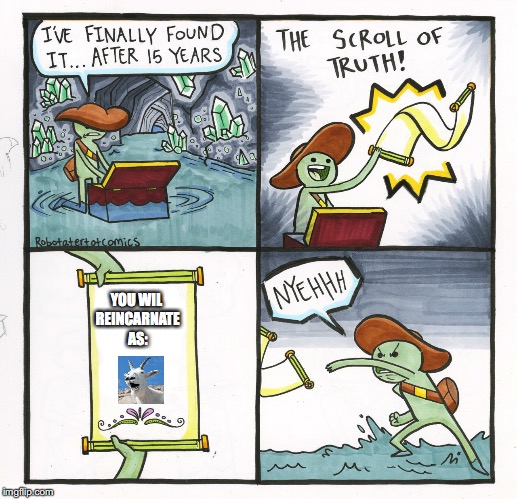 The Scroll Of Truth Meme | YOU WIL REINCARNATE AS: | image tagged in memes,the scroll of truth | made w/ Imgflip meme maker