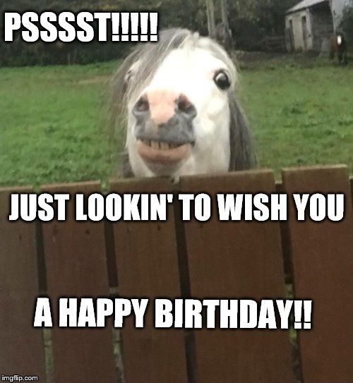 Peering horse | PSSSST!!!!! JUST LOOKIN' TO WISH YOU; A HAPPY BIRTHDAY!! | image tagged in peering horse | made w/ Imgflip meme maker