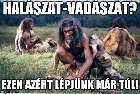 Kép