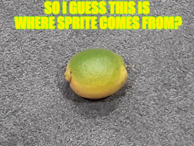 SO I GUESS THIS IS WHERE SPRITE COMES FROM? | image tagged in sprie | made w/ Imgflip meme maker