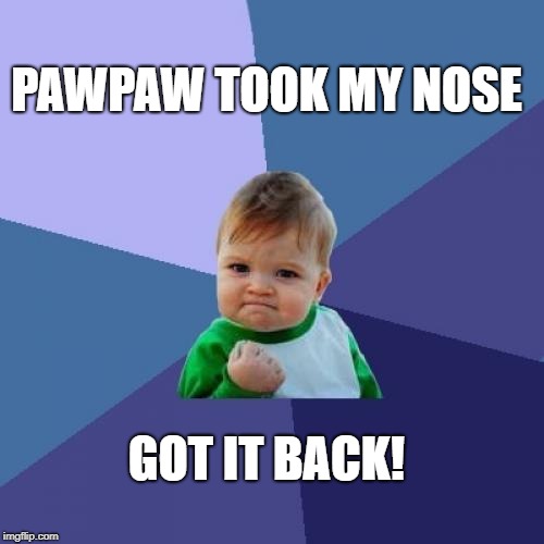 Success Kid Meme | PAWPAW TOOK MY NOSE; GOT IT BACK! | image tagged in memes,success kid | made w/ Imgflip meme maker