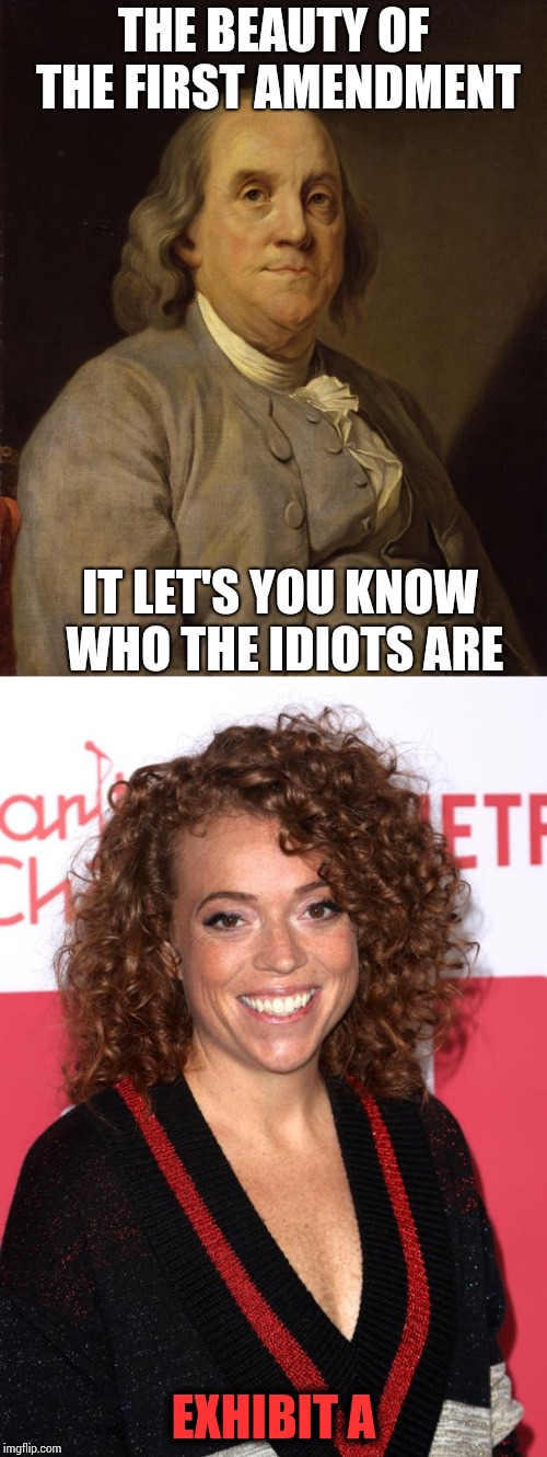 Wisdom from Ben | THE BEAUTY OF THE FIRST AMENDMENT; IT LET'S YOU KNOW WHO THE IDIOTS ARE; EXHIBIT A | image tagged in ben franklin,trump,michelle wolf,pipe_picasso | made w/ Imgflip meme maker