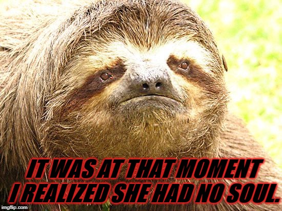 IT WAS AT THAT MOMENT I REALIZED SHE HAD NO SOUL. | image tagged in sloth pain | made w/ Imgflip meme maker