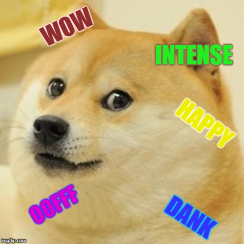 Doge Meme | WOW; INTENSE; HAPPY; OOFFF; DANK | image tagged in memes,doge | made w/ Imgflip meme maker