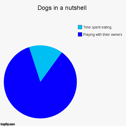 Dogs in a nutshell | Playing with their owners, Time spent eating | image tagged in funny,pie charts | made w/ Imgflip chart maker
