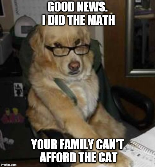 GOOD NEWS. I DID THE MATH; YOUR FAMILY CAN'T AFFORD THE CAT | image tagged in memes,financial advice dog | made w/ Imgflip meme maker