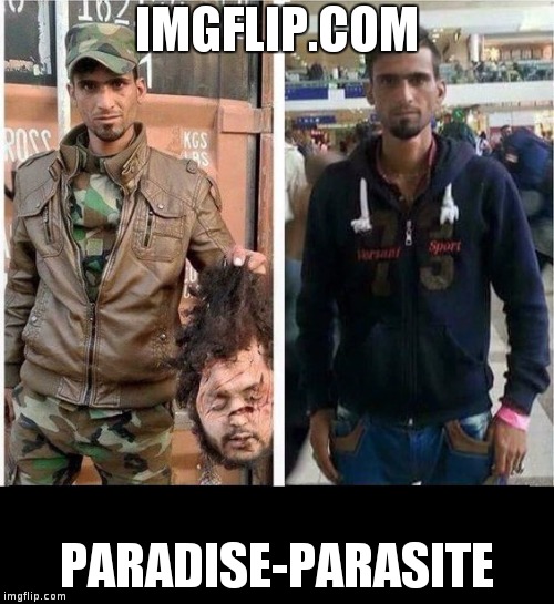IMGFLIP.COM; PARADISE-PARASITE | image tagged in paradise-parasite | made w/ Imgflip meme maker
