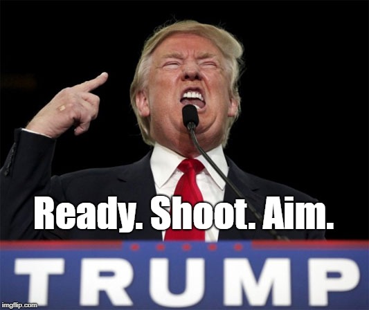 "Ready. Shoot. Aim." | Ready. Shoot. Aim. | image tagged in deplorable donald,despicable donald,detestable donald,devious donald,dishonorable donald,dishonest donald | made w/ Imgflip meme maker