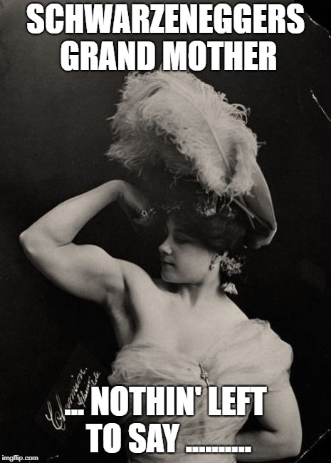 SCHWARZENEGGERS GRAND MOTHER; ... NOTHIN' LEFT TO SAY .......... | image tagged in arnie | made w/ Imgflip meme maker