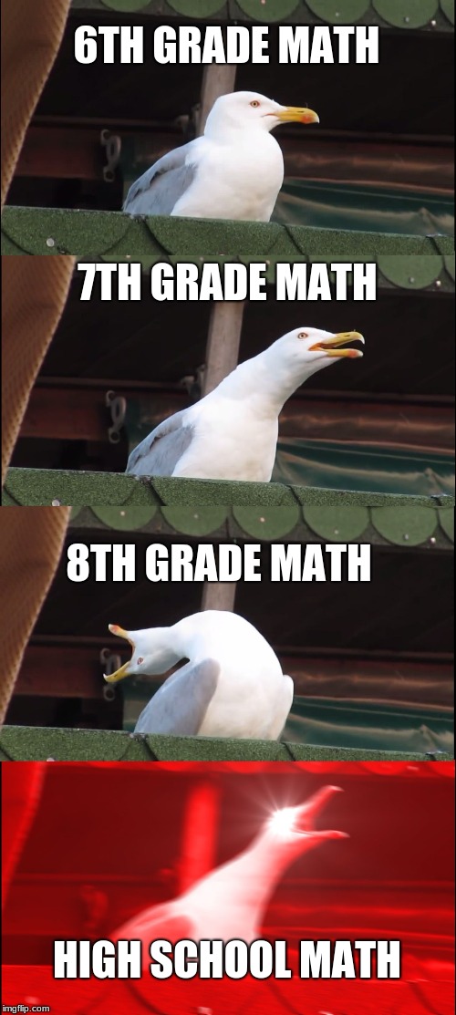 Inhaling Seagull | 6TH GRADE MATH; 7TH GRADE MATH; 8TH GRADE MATH; HIGH SCHOOL MATH | image tagged in memes,inhaling seagull,math | made w/ Imgflip meme maker