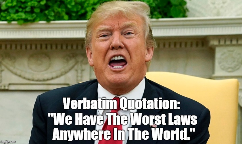 "Blowhard Trump: Impossible To Say Which Orifice Emits The Most Excrement" | Verbatim Quotation:; "We Have The Worst Laws Anywhere In The World." | image tagged in deplorable donald,despicable donald,detestable donald,devious donald,dishonorable donald,dishonest donald | made w/ Imgflip meme maker
