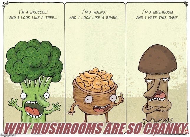 reallyitsjohn inspired me here! I saw this circulating a very long time ago and thought y'all would get a chuckle out of it too! | WHY MUSHROOMS ARE SO CRANKY. | image tagged in mushroom,reallyitsjohn,nixieknox,memer inspired,memes | made w/ Imgflip meme maker