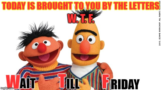 bert and ernie | TODAY IS BROUGHT TO YOU BY THE LETTERS; W. T. F. T; F; W; AIT; ILL; RIDAY | image tagged in bert and ernie,wtf,monday,mondays,friday | made w/ Imgflip meme maker