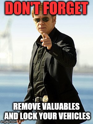 CSI Agent |  DON'T FORGET; REMOVE VALUABLES AND LOCK YOUR VEHICLES | image tagged in csi agent | made w/ Imgflip meme maker