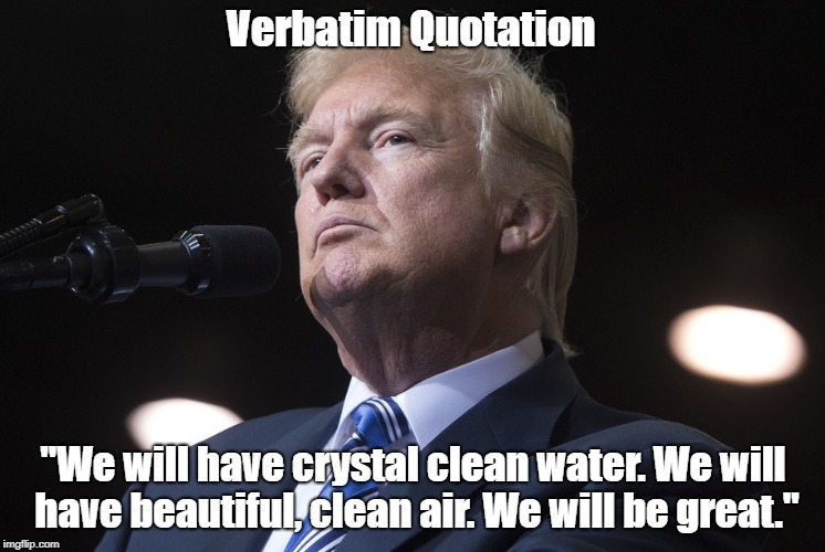 Verbatim Quotation "We will have crystal clean water. We will have beautiful, clean air. We will be great." | made w/ Imgflip meme maker
