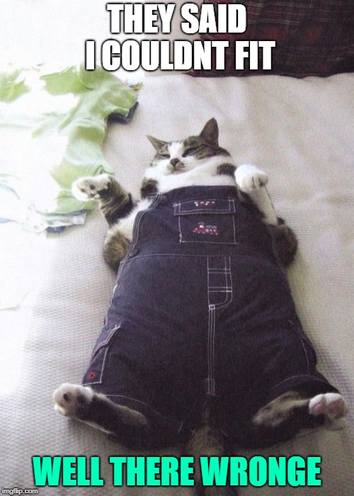 Fat Cat Meme | THEY SAID I COULDNT FIT; WELL THERE WRONGE | image tagged in memes,fat cat | made w/ Imgflip meme maker