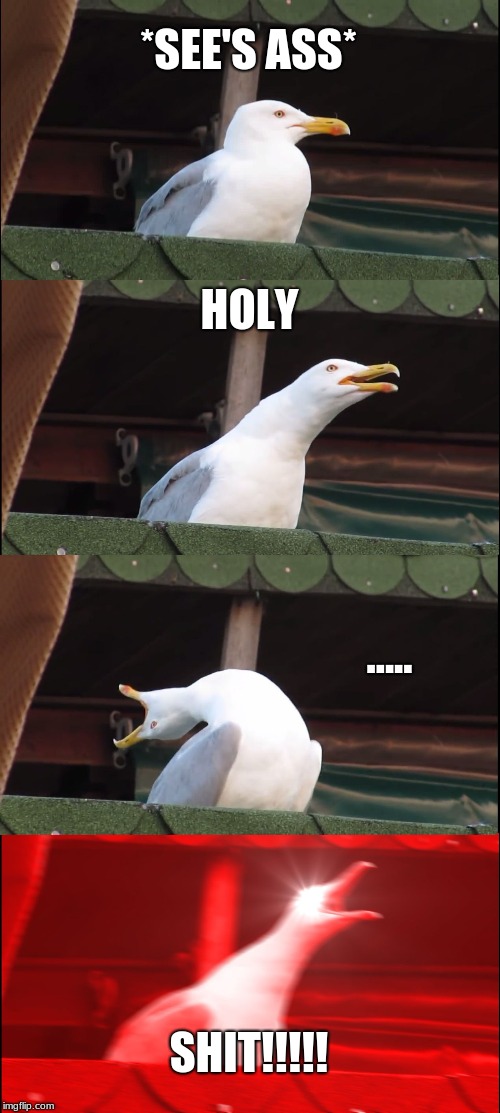 Inhaling Seagull | *SEE'S ASS*; HOLY; ..... SHIT!!!!! | image tagged in memes,inhaling seagull | made w/ Imgflip meme maker