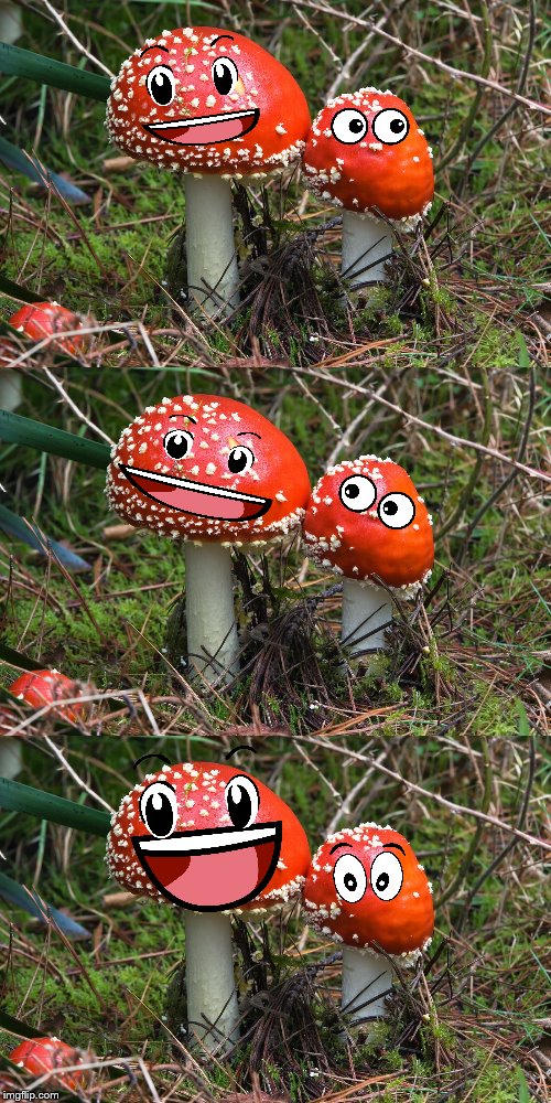 mushroom joke Blank Meme Template