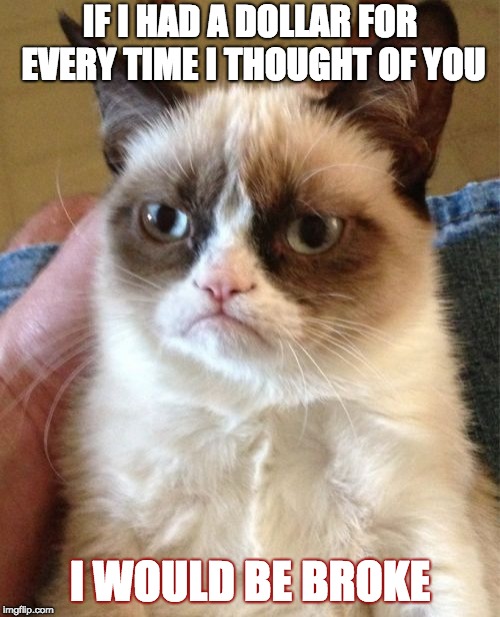 Grumpy Cat | IF I HAD A DOLLAR FOR EVERY TIME I THOUGHT OF YOU; I WOULD BE BROKE | image tagged in memes,grumpy cat | made w/ Imgflip meme maker