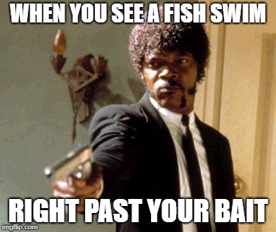 Say That Again I Dare You Meme | WHEN YOU SEE A FISH SWIM; RIGHT PAST YOUR BAIT | image tagged in memes,say that again i dare you | made w/ Imgflip meme maker