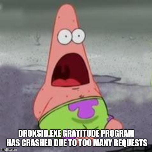 DROKSID.EXE GRATITUDE PROGRAM HAS CRASHED DUE TO TOO MANY REQUESTS | made w/ Imgflip meme maker