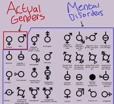Facts | image tagged in gender,meme,funny,dank | made w/ Imgflip meme maker