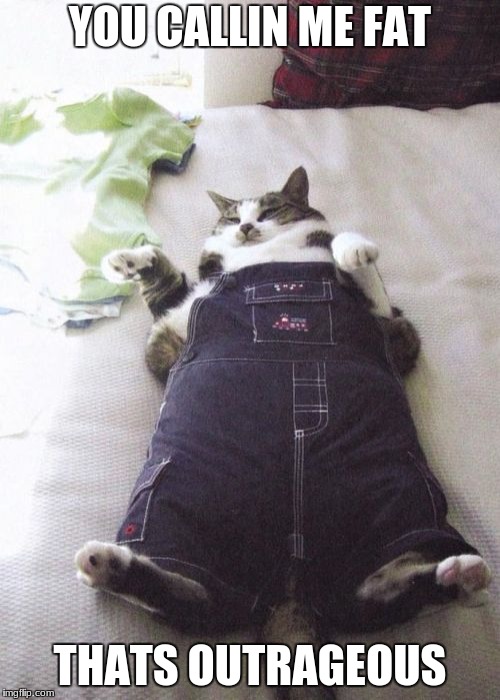 Fat Cat | YOU CALLIN ME FAT; THATS OUTRAGEOUS | image tagged in memes,fat cat | made w/ Imgflip meme maker
