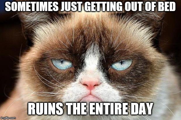 Grumpy Cat Not Amused | SOMETIMES JUST GETTING OUT OF BED; RUINS THE ENTIRE DAY | image tagged in memes,grumpy cat not amused,grumpy cat | made w/ Imgflip meme maker
