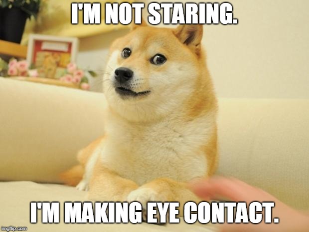 Doge 2 Meme | I'M NOT STARING. I'M MAKING EYE CONTACT. | image tagged in memes,doge 2 | made w/ Imgflip meme maker