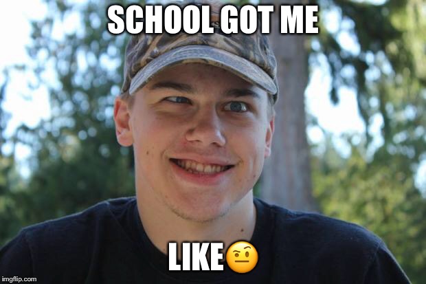 Totally Tanner Meme | SCHOOL GOT ME; LIKE🤨 | image tagged in totally tanner meme | made w/ Imgflip meme maker