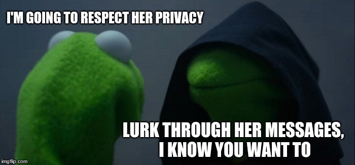 Evil Kermit Meme | I'M GOING TO RESPECT HER PRIVACY; LURK THROUGH HER MESSAGES, I KNOW YOU WANT TO | image tagged in memes,evil kermit | made w/ Imgflip meme maker