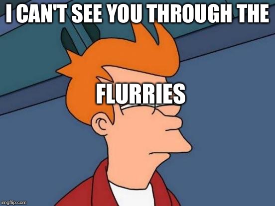 Futurama Fry Meme | I CAN'T SEE YOU THROUGH THE FLURRIES | image tagged in memes,futurama fry | made w/ Imgflip meme maker