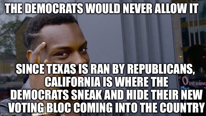 Roll Safe Think About It Meme | THE DEMOCRATS WOULD NEVER ALLOW IT SINCE TEXAS IS RAN BY REPUBLICANS, CALIFORNIA IS WHERE THE DEMOCRATS SNEAK AND HIDE THEIR NEW VOTING BLOC | image tagged in memes,roll safe think about it | made w/ Imgflip meme maker