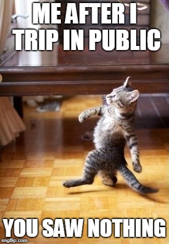 Cool Cat Stroll Meme | ME AFTER I TRIP IN PUBLIC; YOU SAW NOTHING | image tagged in memes,cool cat stroll | made w/ Imgflip meme maker