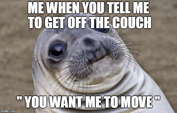 Awkward Moment Sealion Meme | ME WHEN YOU TELL ME TO GET OFF THE COUCH; " YOU WANT ME TO MOVE " | image tagged in memes,awkward moment sealion | made w/ Imgflip meme maker