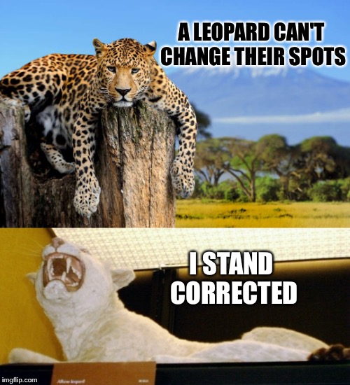 There's always a catch. | A LEOPARD CAN'T CHANGE THEIR SPOTS; I STAND CORRECTED | image tagged in most interesting leopard in the world,albino,memes,funny | made w/ Imgflip meme maker