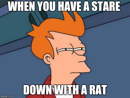 Futurama Fry Meme | WHEN YOU HAVE A STARE; DOWN WITH A RAT | image tagged in memes,futurama fry | made w/ Imgflip meme maker