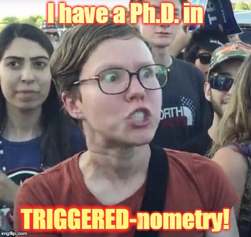 I have a Ph.D. in TRIGGERED-nometry! TRIGGERED- | made w/ Imgflip meme maker