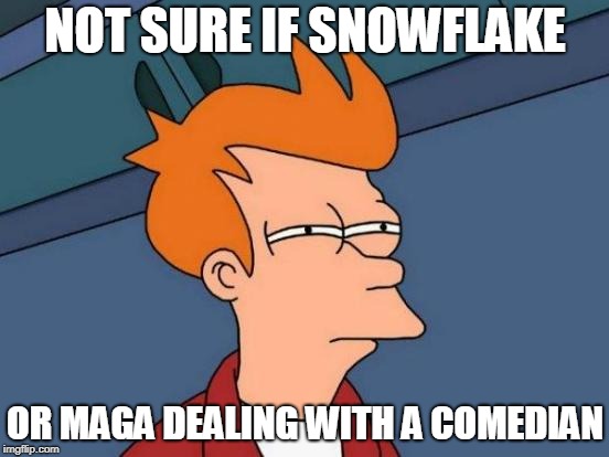 Futurama Fry Meme | NOT SURE IF SNOWFLAKE; OR MAGA DEALING WITH A COMEDIAN | image tagged in memes,futurama fry,maga | made w/ Imgflip meme maker