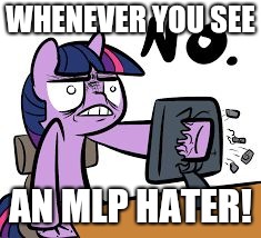 twilight sparkle no | WHENEVER YOU SEE; AN MLP HATER! | image tagged in twilight sparkle no | made w/ Imgflip meme maker