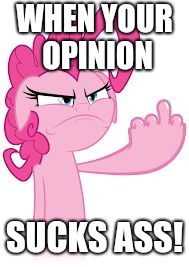 Middle finger pony | WHEN YOUR OPINION; SUCKS ASS! | image tagged in middle finger pony | made w/ Imgflip meme maker